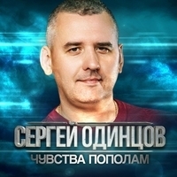Сергей Одинцов - Чувства пополам